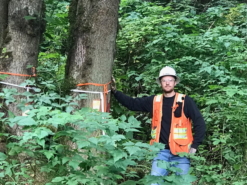 Matt McTavish wearing a white hard hat and orange safety vest stands in a dense forest, resting one hand on a tree marked with orange tape. The area is lush with green foliage.