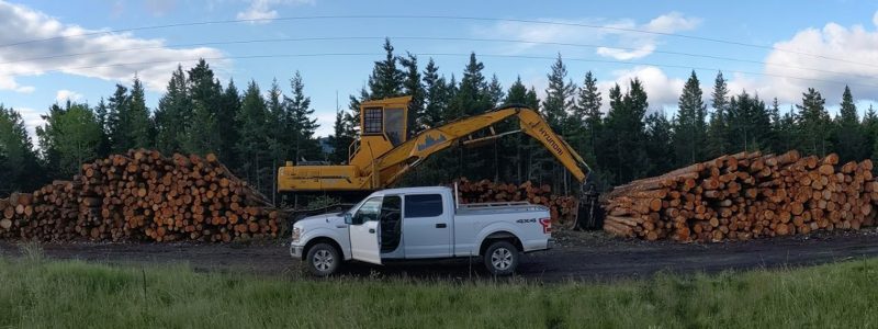 A white pickup truck and a yellow excavator are parked in front of large stacks of cut logs in a clearing, surrounded by dense forest and mountains under a partly cloudy sky.
