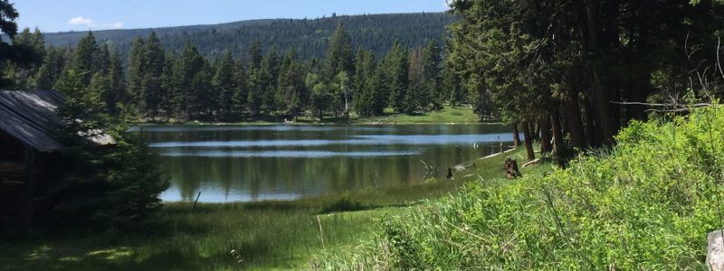 A small, calm lake surrounded by dense green trees and grass, with a rustic wooden cabin on the left and hills in the background under a clear blue sky.