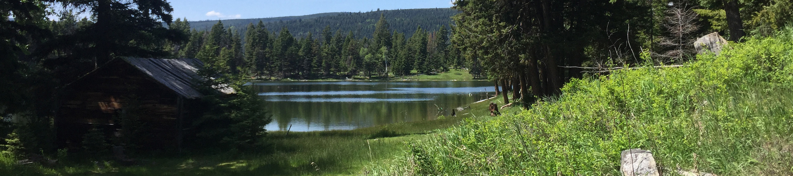 A small, calm lake surrounded by dense green trees and grass, with a rustic wooden cabin on the left and hills in the background under a clear blue sky.